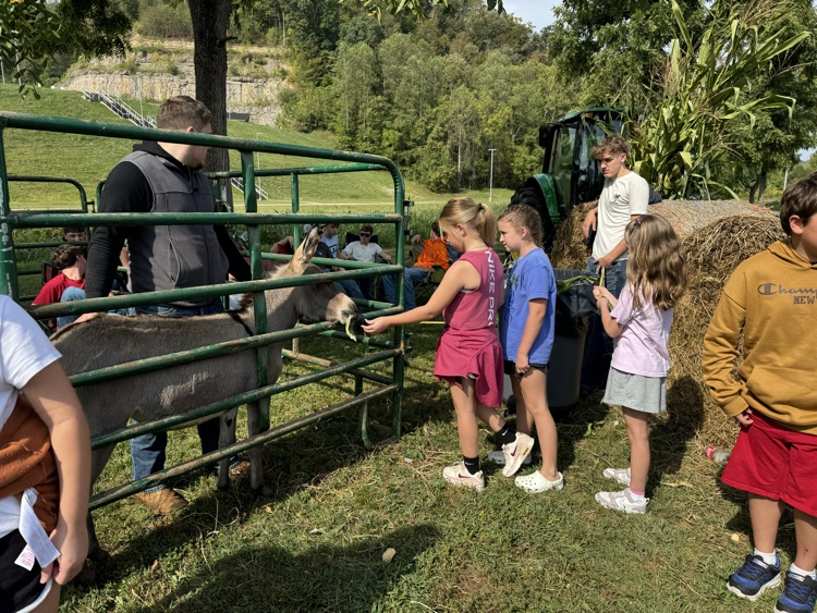 MCHS petting zoo