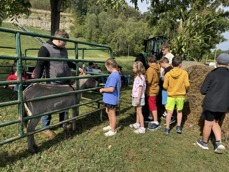 MCHS petting zoo