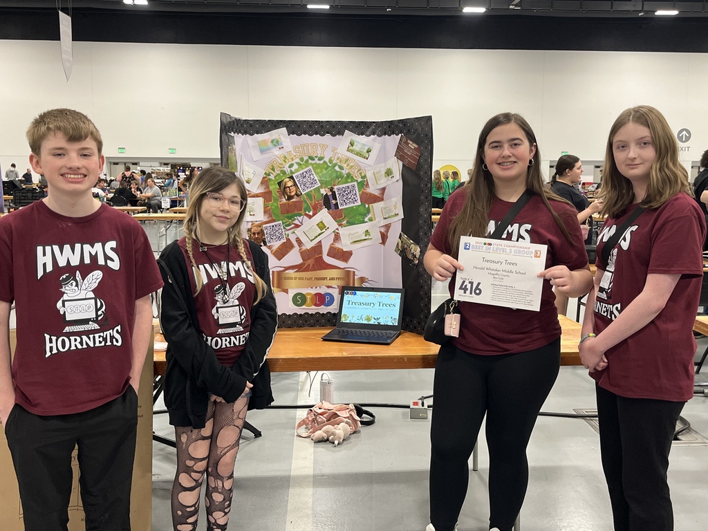 STLP