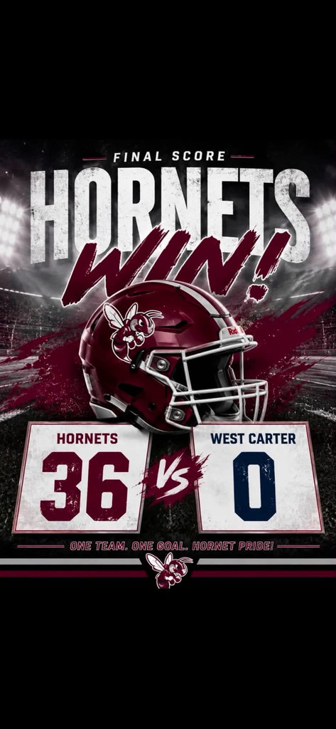 hornets