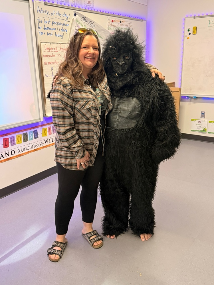 gorilla