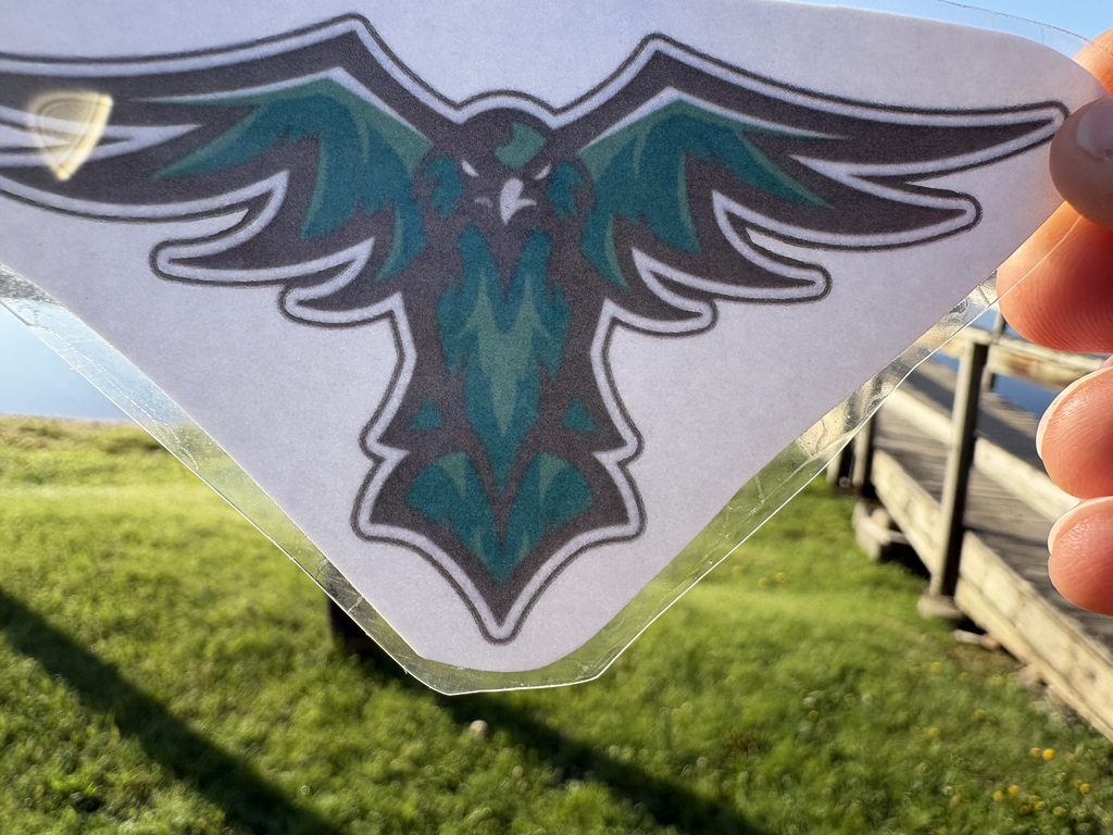 Thunderbird 