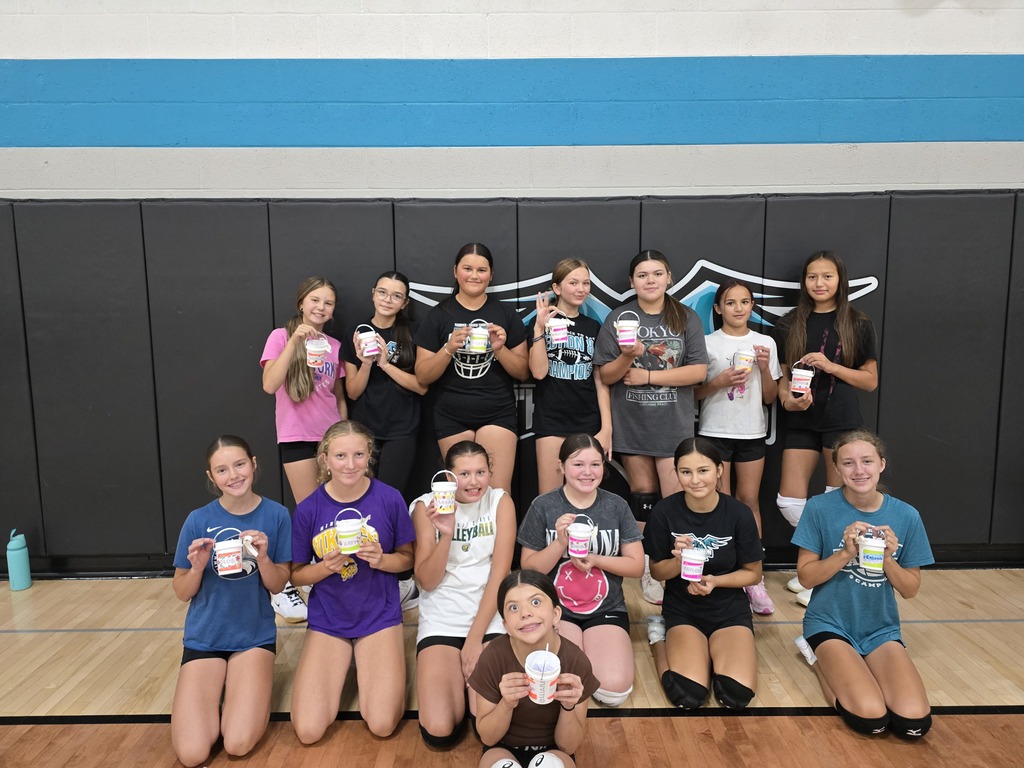 8th grade volleyball team 
