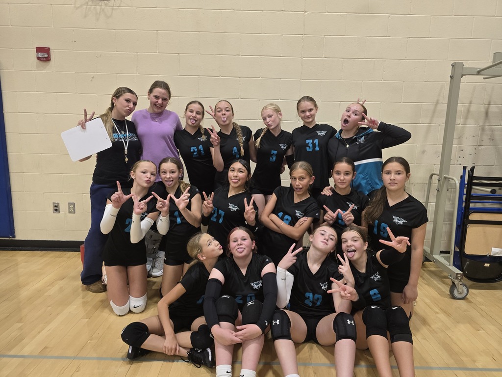Volleyball team