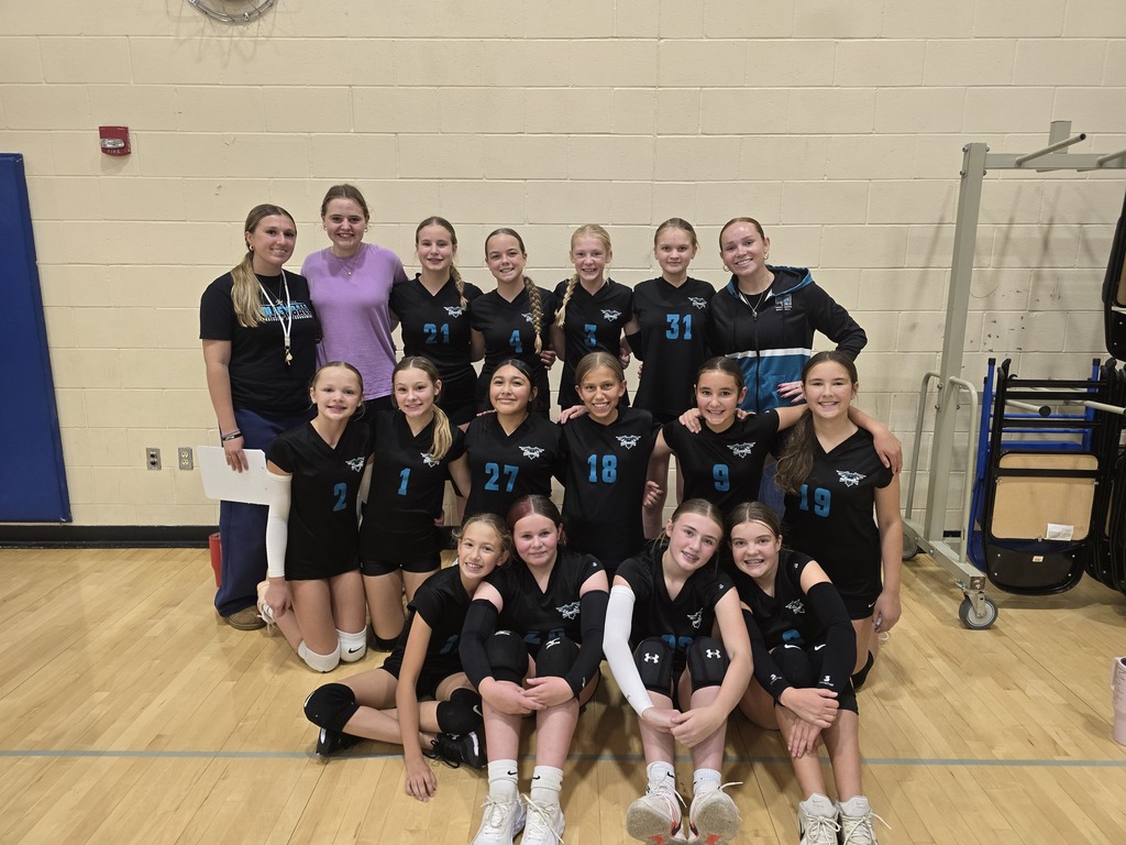 Volleyball team