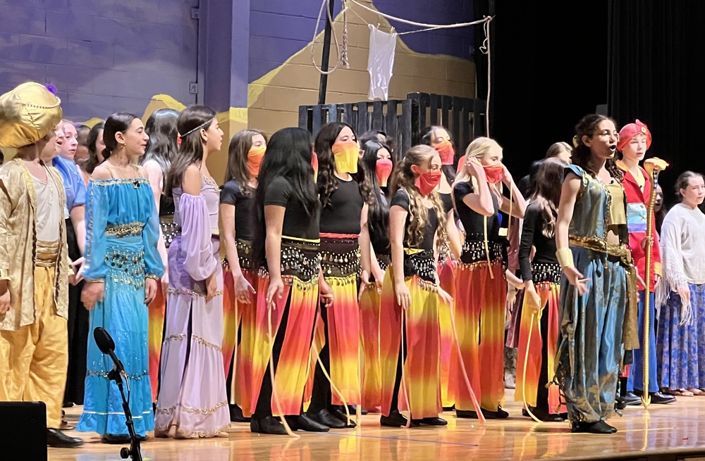 Aladdin Jr MMS performance
