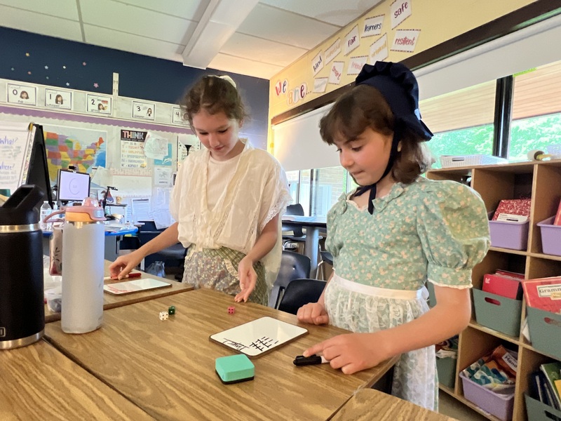 Fulmar Road Colonial Day