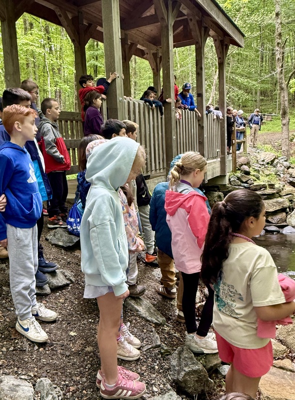 Fulmar Road Fourth Graders Release Trout Into Local Stream