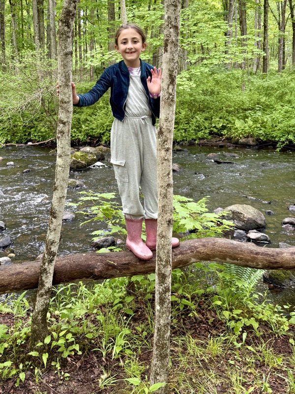 Fulmar Road Fourth Graders Release Trout Into Local Stream