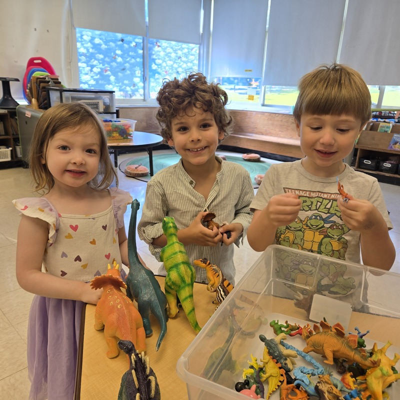 Lakeview Summer Camps