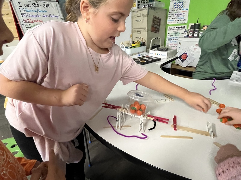 Fulmar Road "bone bridges" in STEAM class