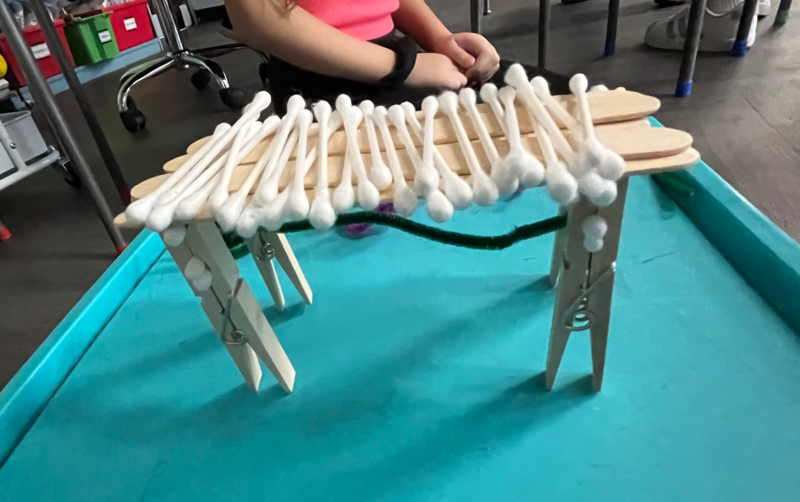 Fulmar Road "bone bridges" in STEAM class