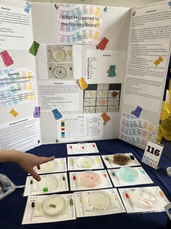 Mahopac Middle School STEAM Fair showcases student creativity and collaboration