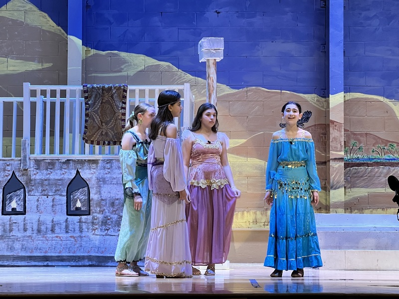 MMS Production of Disney's Aladdin Jr.