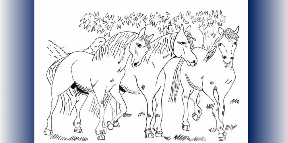 Drawing of horses