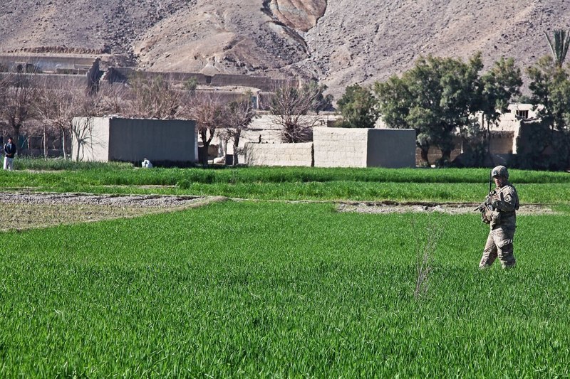 pedro in afghan
