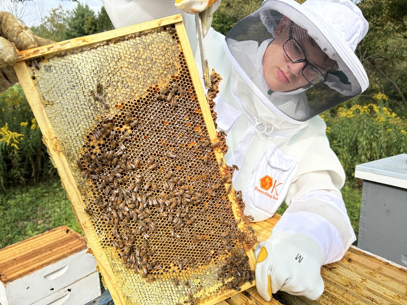 bee clkub