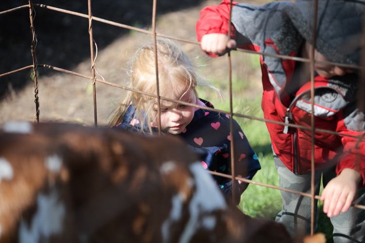 Elementary students enjoy Elementary Ag Day 
