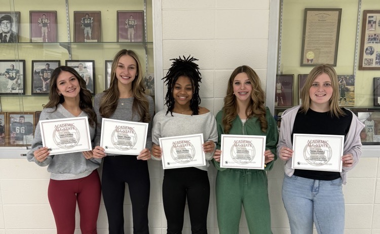 Academic Allstate volleyball