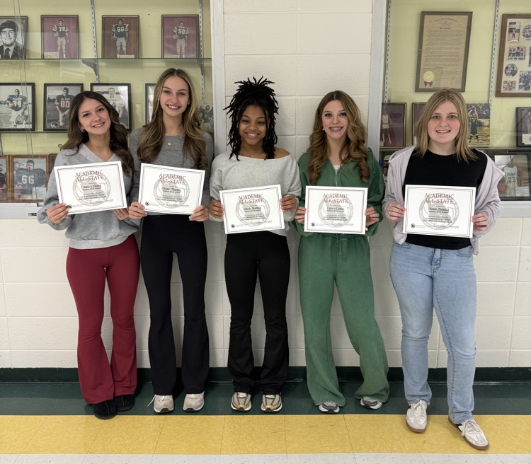 Academic Allstate volleyball