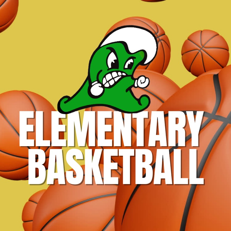 elementary basketball