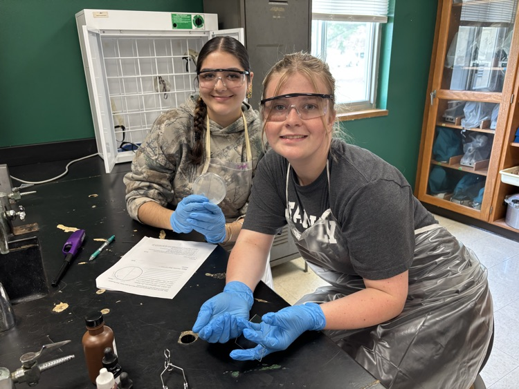 AP Bio Lab Experiment 