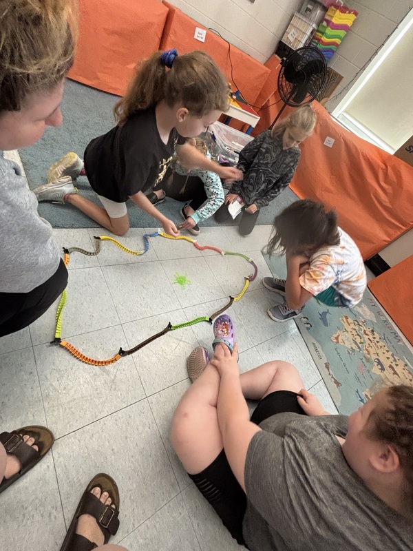 Students participating in extended school year.