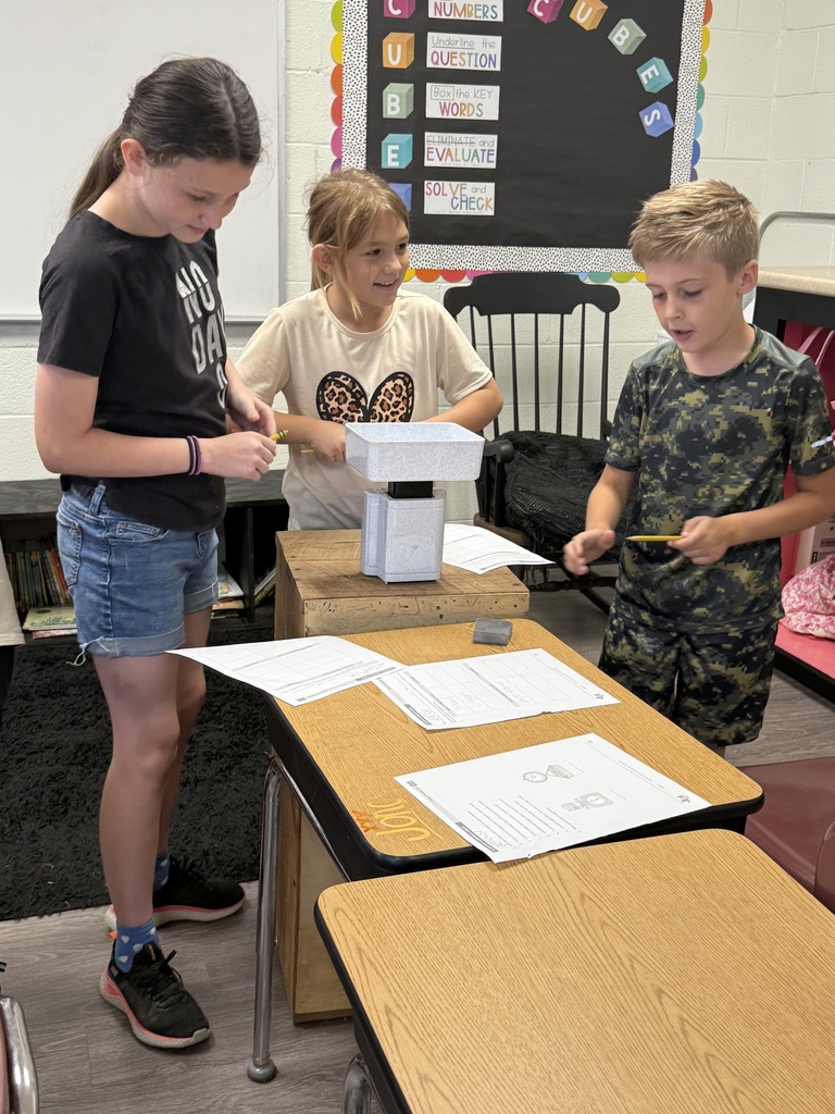 weight and measurement experiments
