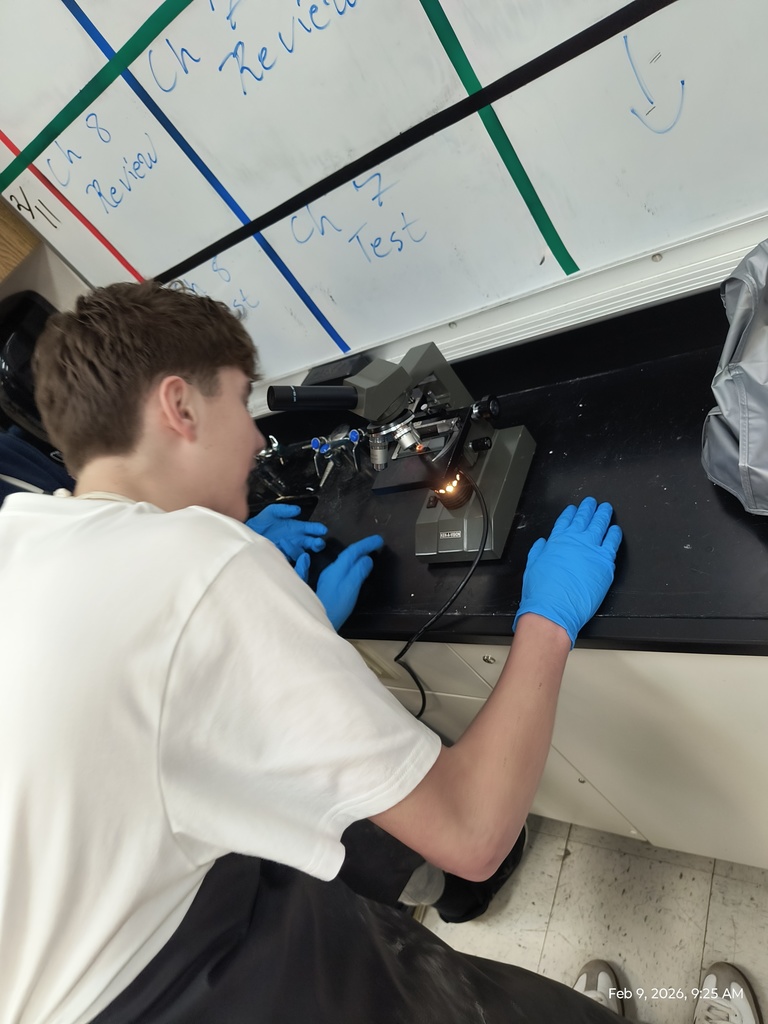 IMG_20260209_092522141