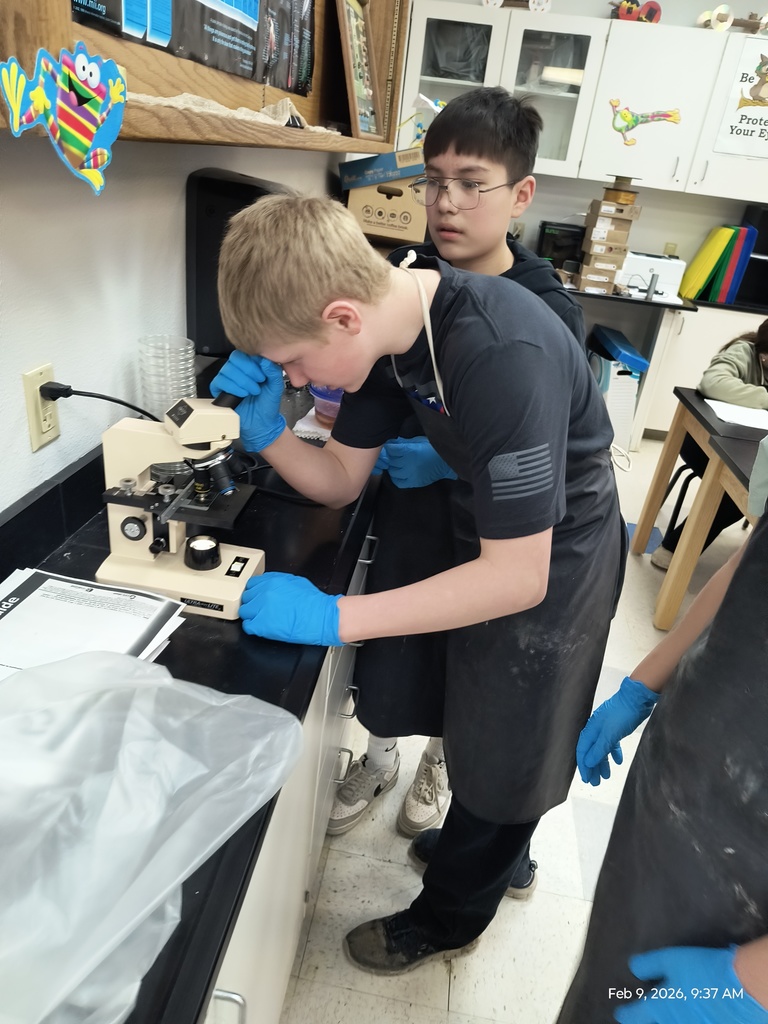 Two students are seen in the image. One is observing a slide with bacteria through the microscope while the other waits.