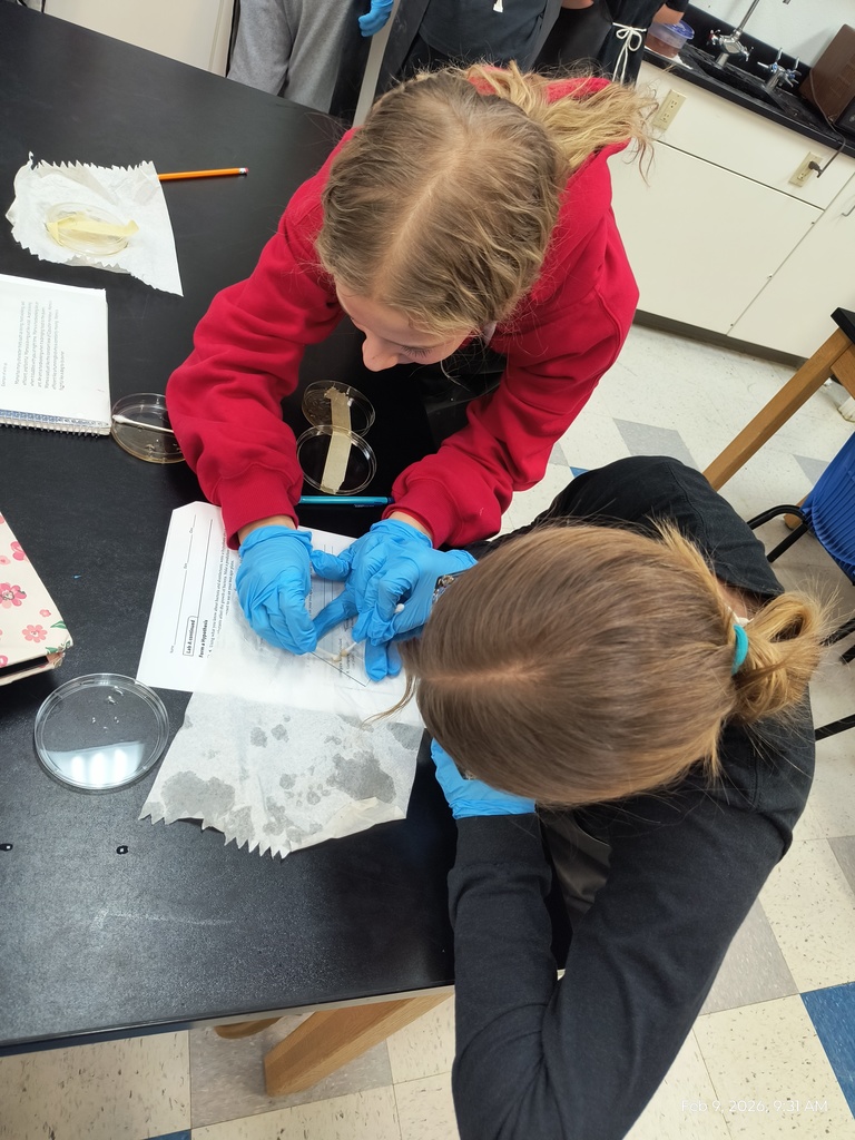 Two students hovering over a slide for a microscope. One is applying bacteria from a cotton swab onto the slide while the other holds the slide. 