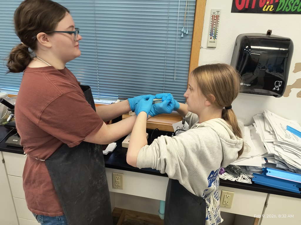 Two students working together to open a petri dish.