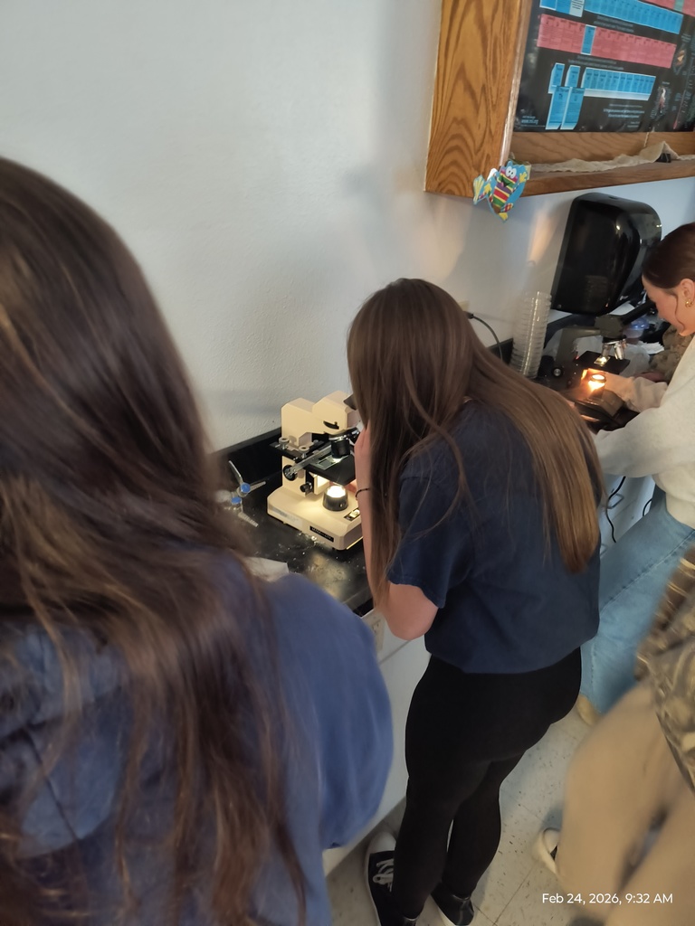 A student observing diatom samples through a microscope.