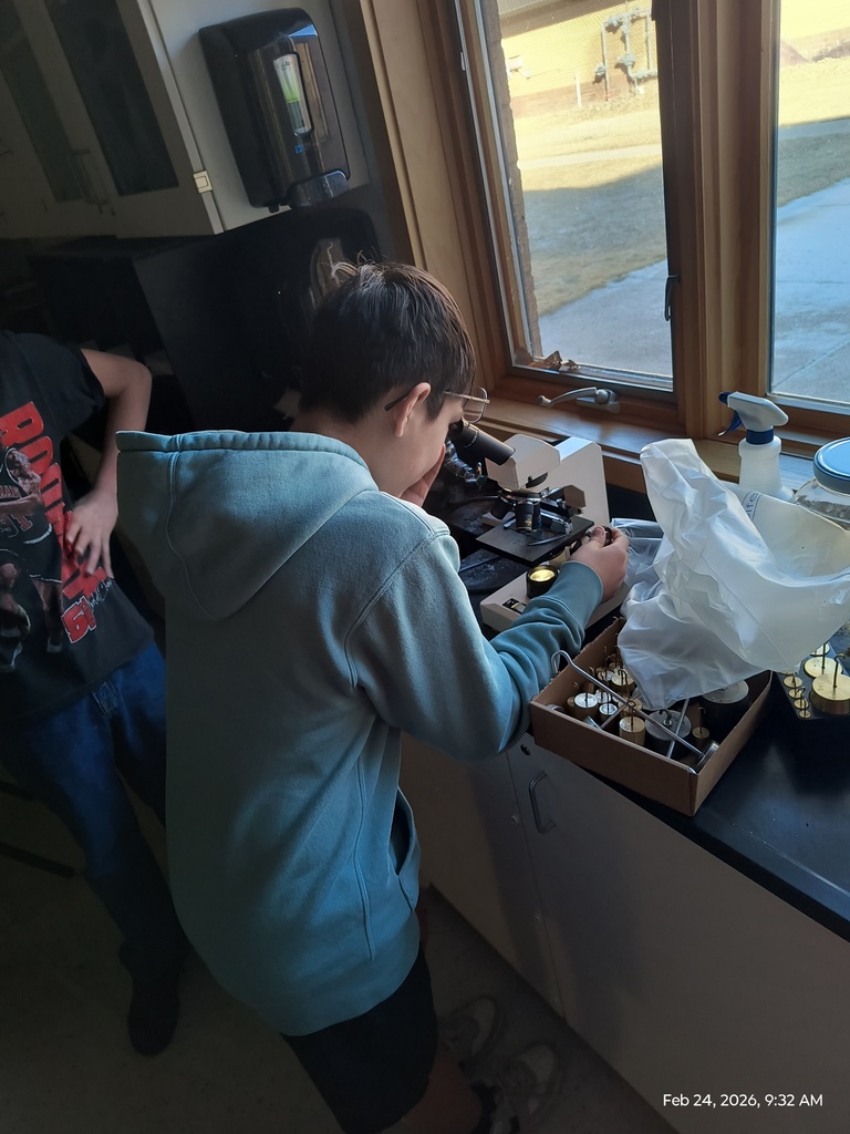 A student is looking through a microscope at a slide of diatoms
