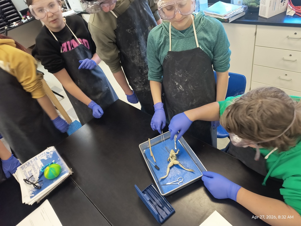 A group of students reacting to the discovery of eggs inside their frog.
