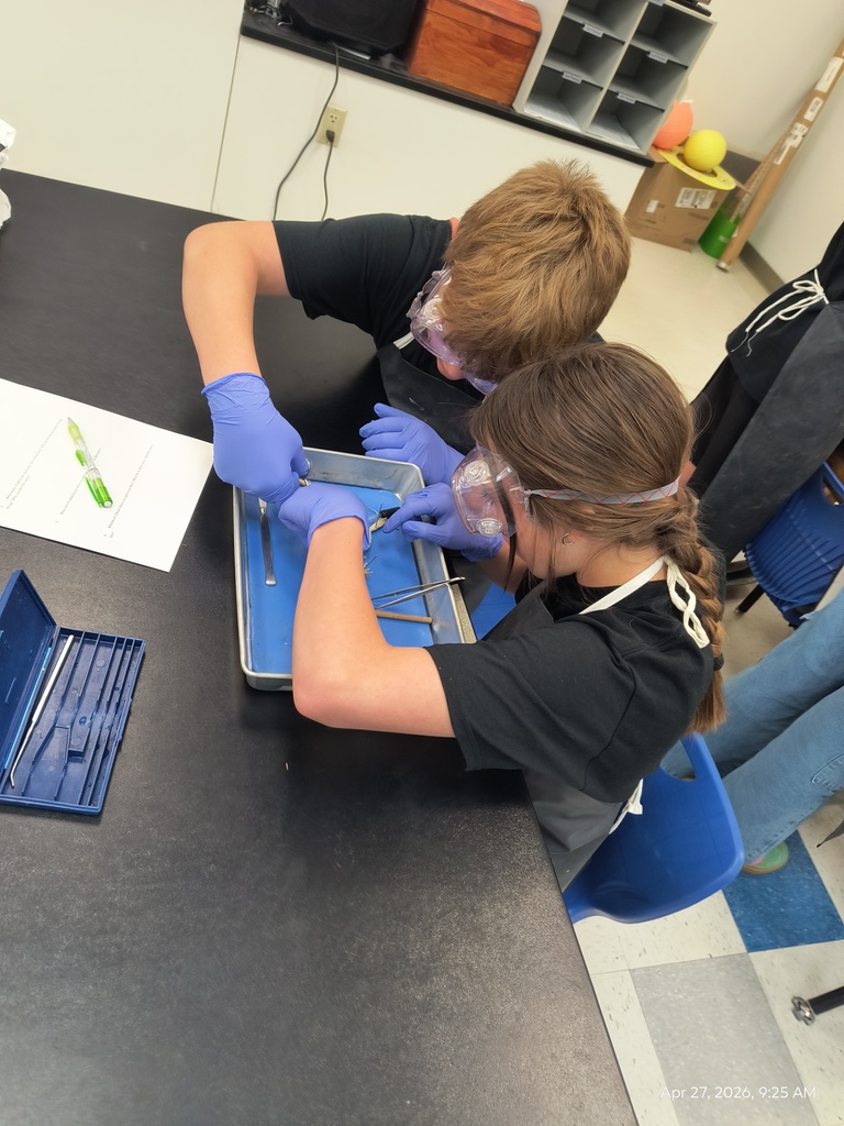 Two students dissecting a frog.