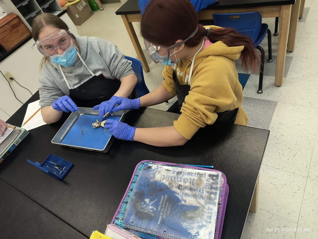Two students dissecting a frog. One is looking to the camera.