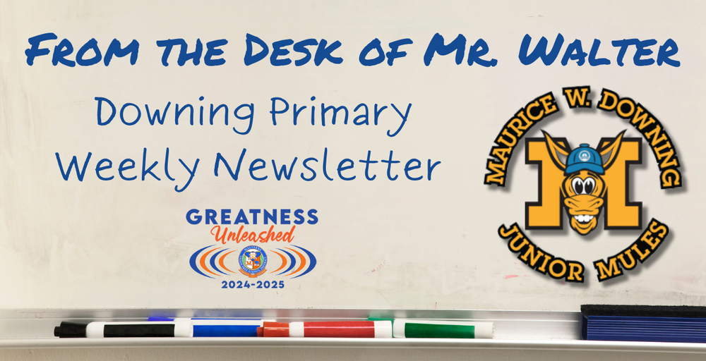 Downing Primary newsletter header