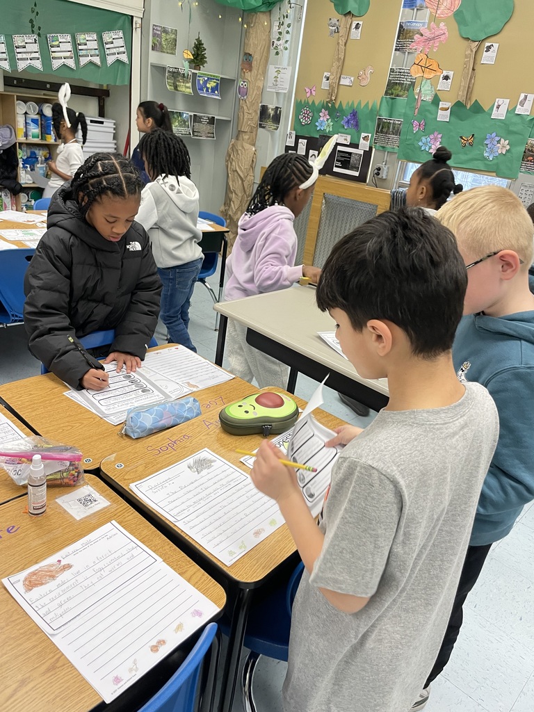 Davison 3rd grade ecosystem lesson
