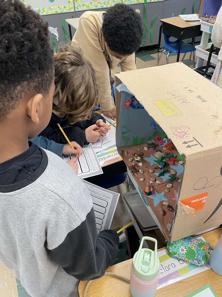 Davison 3rd grade ecosystem lesson