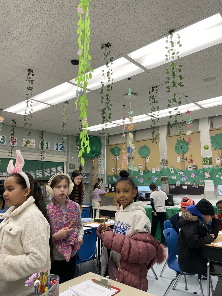 Davison 3rd grade ecosystem lesson
