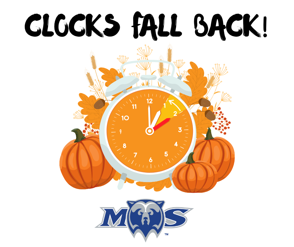 Clocks Fall Back!