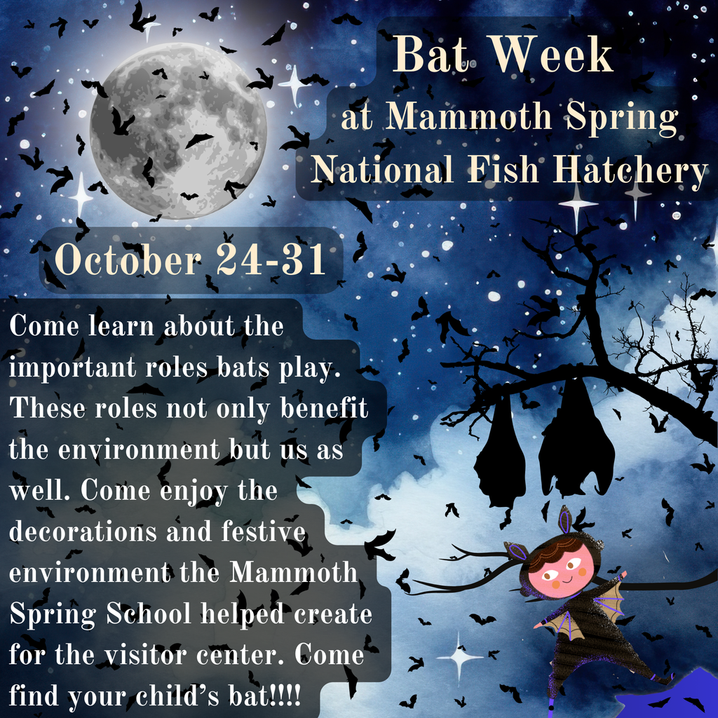 Bat Week