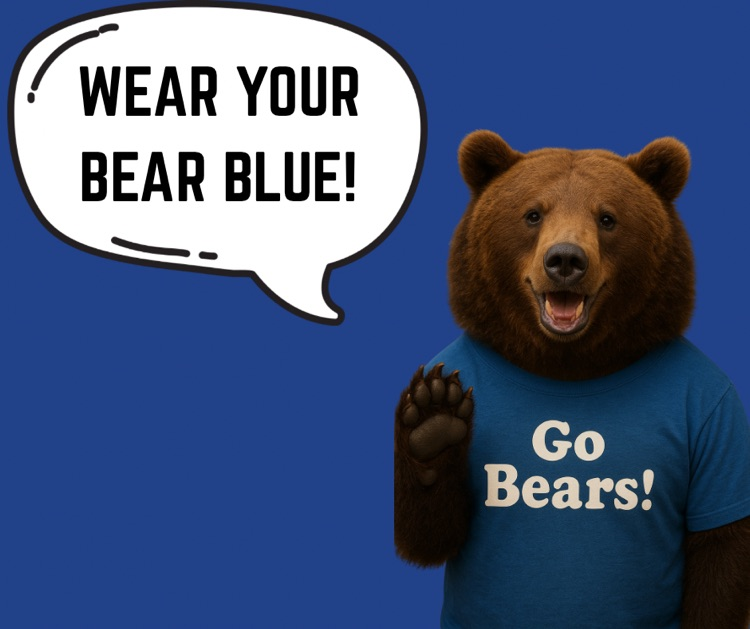 bear blue