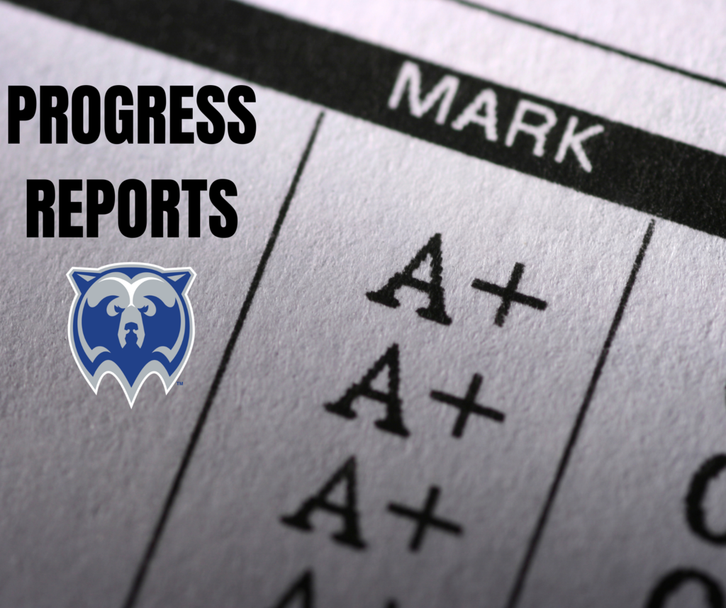 progress reports