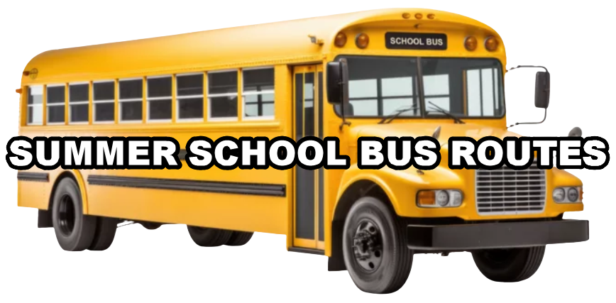Image of Bus