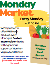 Summer Market