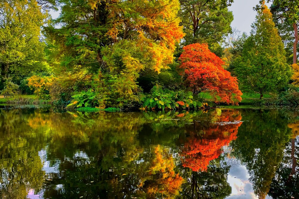 Fall