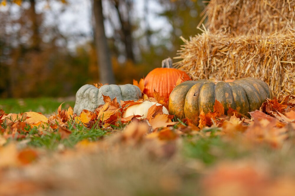Fall