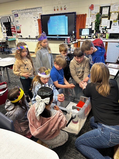 Kindergarten and 3rd grade buddies looking at the quail chicks in Mrs. Stormoens classroom